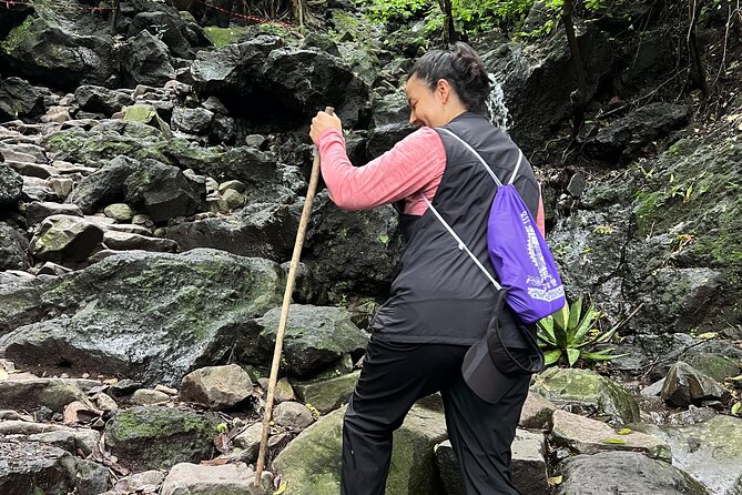 Early Hike to El Tepozteco from Mexico City - Comparing Similar Tours to El Tepozteco Hike