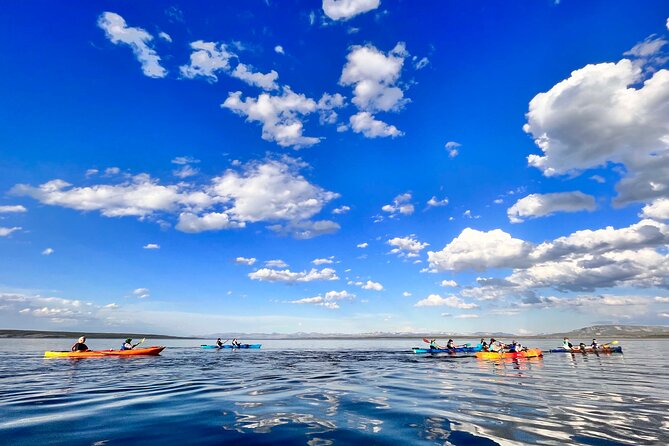 Early Morning Guided Kayak Tour - Expert Guides and Personalized Attention