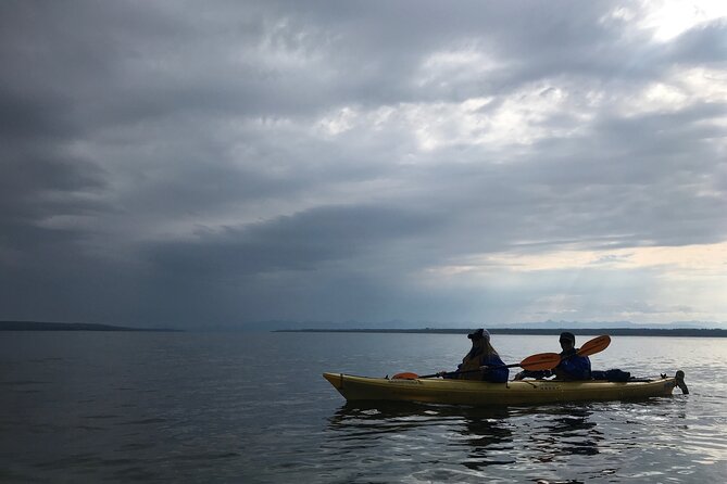 Early Morning Guided Kayak Tour - Timing and Weather Considerations