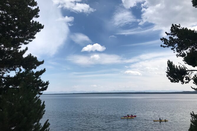 Early Morning Guided Kayak Tour - Flexibility and Cancellation Policy