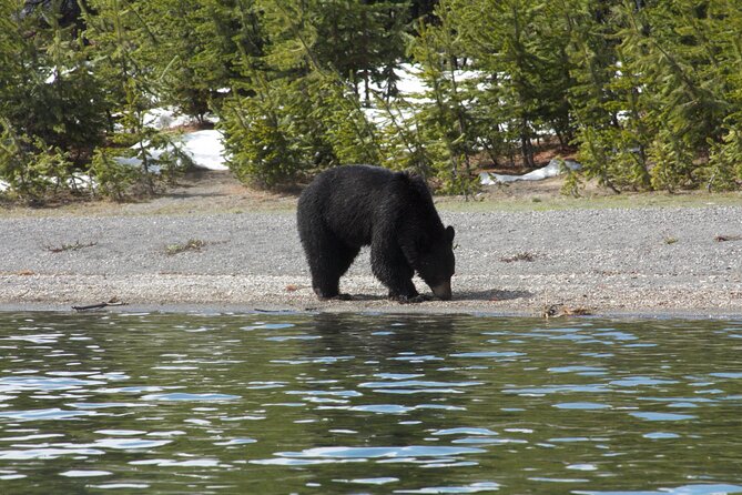 Early Morning Guided Kayak Tour - Who Will Enjoy This Kayak Tour?