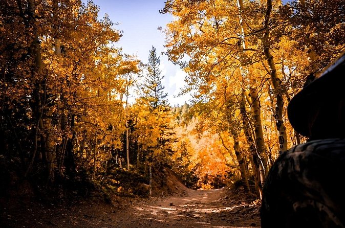 Early Season Special: Scenic Jeep Tour - Practical Details and Meeting Point