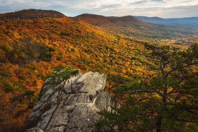 East Alabama Family Fun Multi-Attraction Pass - Practicalities and Booking Details for the Tour