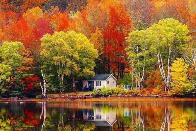 East Cabot Trail Coastal Drive and Cape Breton Highlands - Sweet Delights at Cabotto Chocolates