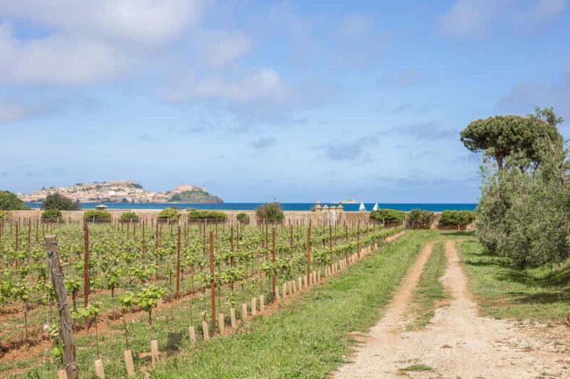 East Elba Island: botanical garden, suggestions, and final tasting - Key Points