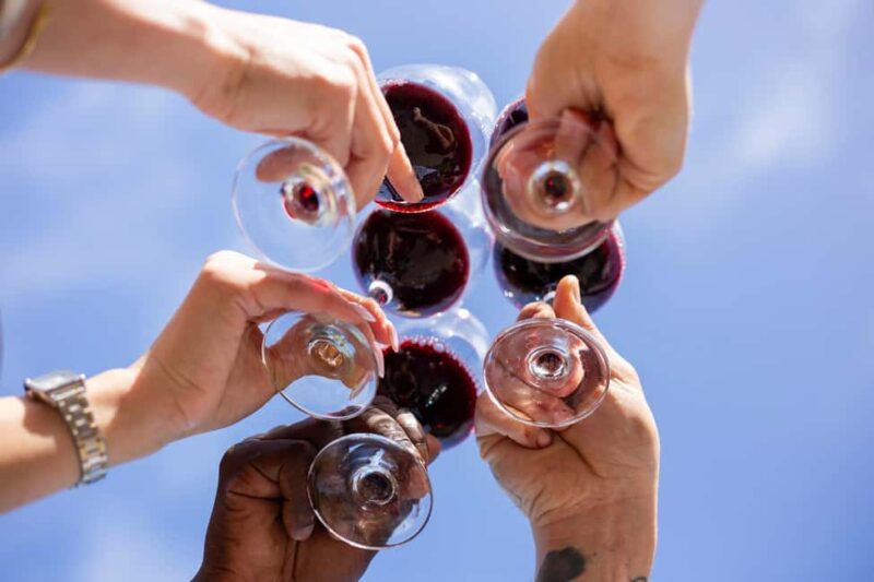 East Elba Island: botanical garden, suggestions, and final tasting - The Van and Route: Comfortable Transport with Scenic Highlights