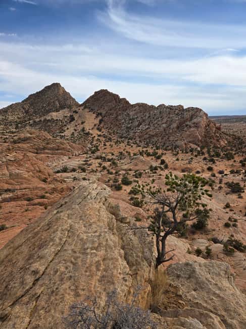 East Grand Canyon: Off-Road Tour With Picnic At The Rim - Exploring the East Grand Canyon Off-Road Adventure