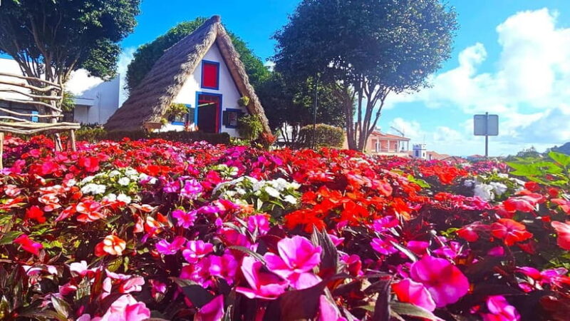 East Madeira: Private Tour with Views & History - Customizable Stops and Relaxation Time