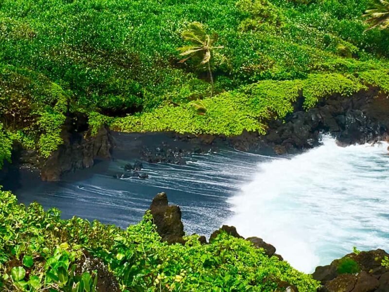 East Maui: Private Rainforest Tour or Road to Hana Loop Tour - Key Points