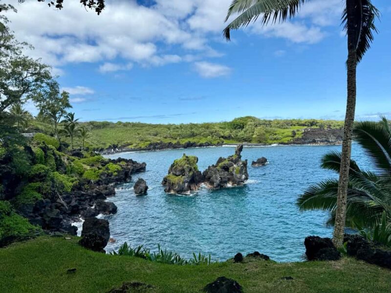 East Maui: Private Rainforest Tour or Road to Hana Loop Tour - Logistics: Pickup, Transportation, and Group Size