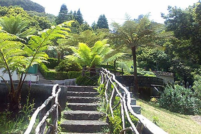 EAST: Pico do Arieiro & Laurissilva Forest - Full Day tour - Experience the Natural Beauty at Ponta de São Lourenço