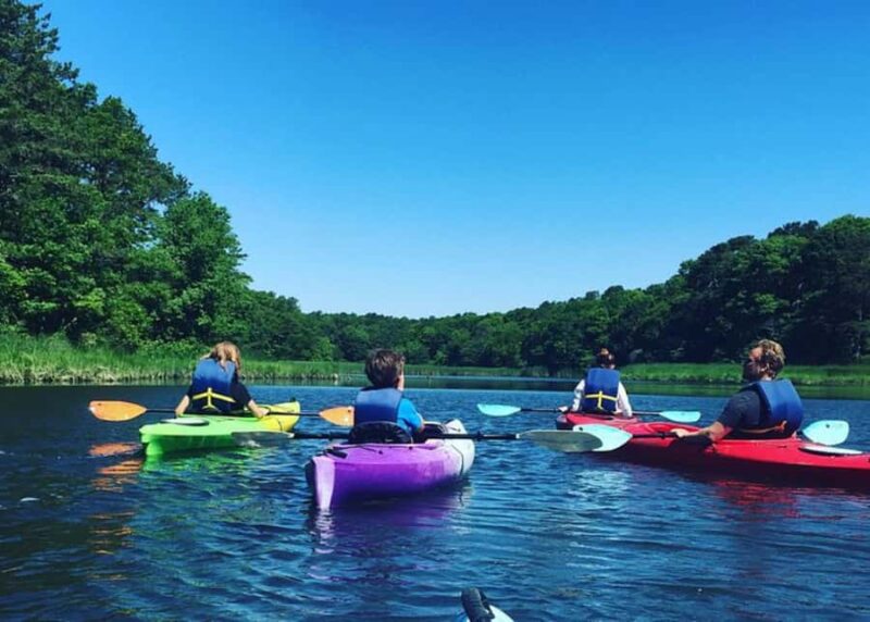 East Sandwich: Scorton Creek Nature Kayak Tour - What’s Included and What to Bring