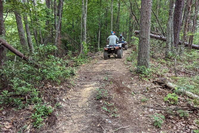 East Tennessee Off Road ATV Guided Experience - The Mudhole and Trail Challenges