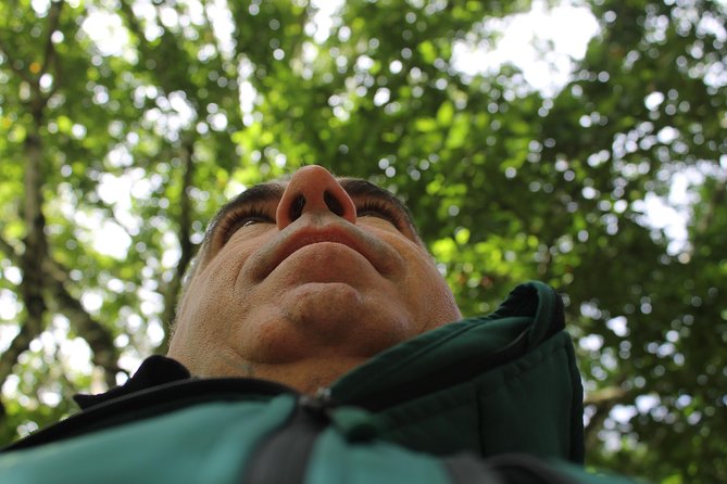 East Tour - 4x4 - Small Group - Scenic Lunch Break at Restaurante Quinta do Furão