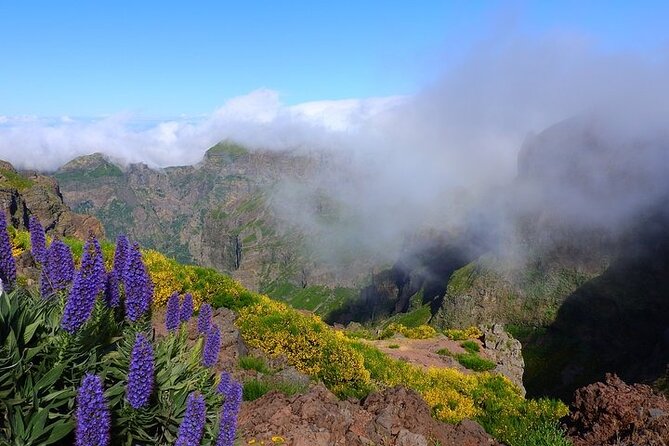 East Tour - 4x4 - Small Group - Viewing Points on the North and East Coasts