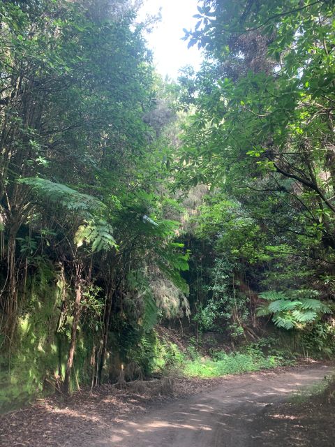 East Tour: Open Roof jeep tour to East Madeira - Santana - The Expertise of Ricardo Off Road Madeira