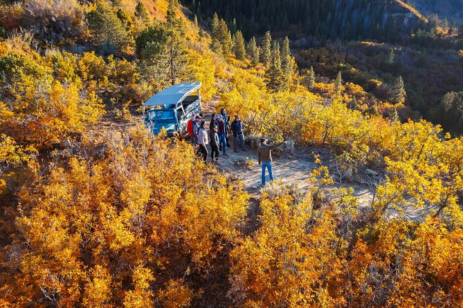 East Zion Brushy Cove Jeep Tour - Personal Service in an Intimate Small Group