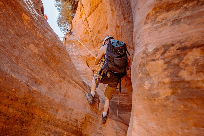 East Zion: Coral Sands Half-day Canyoneering Tour - Navigating the Red Canyon Terrain