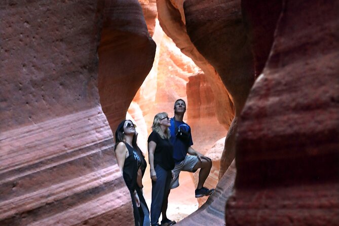 East Zion Crimson Canyon Hike & UTV Adventure - The Experience for Different Visitors