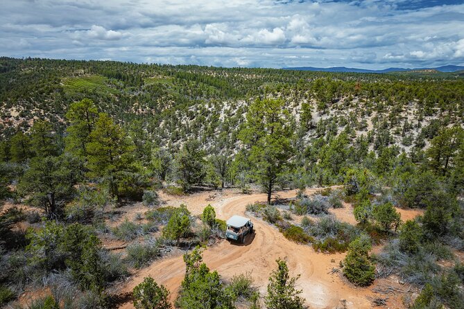East Zion East Rim Jeep Tour - Value for Money and Customer Experience