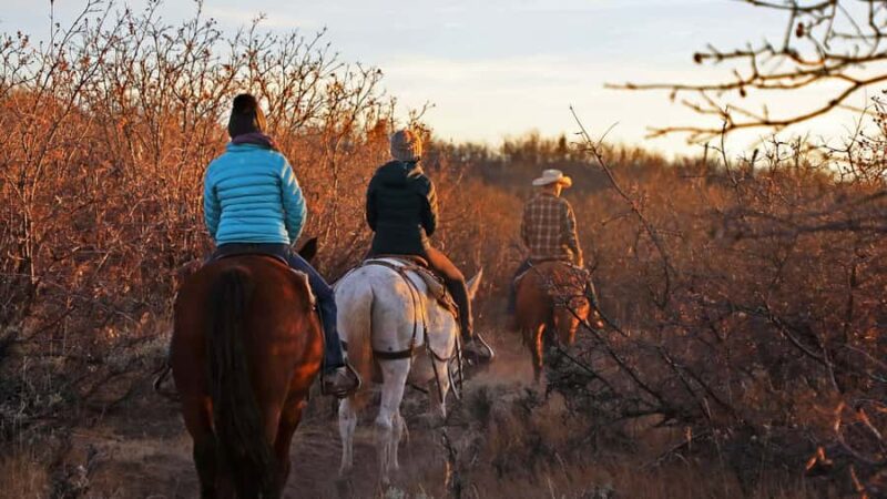 East Zion: Pine Knoll Horseback Tour - Key Points