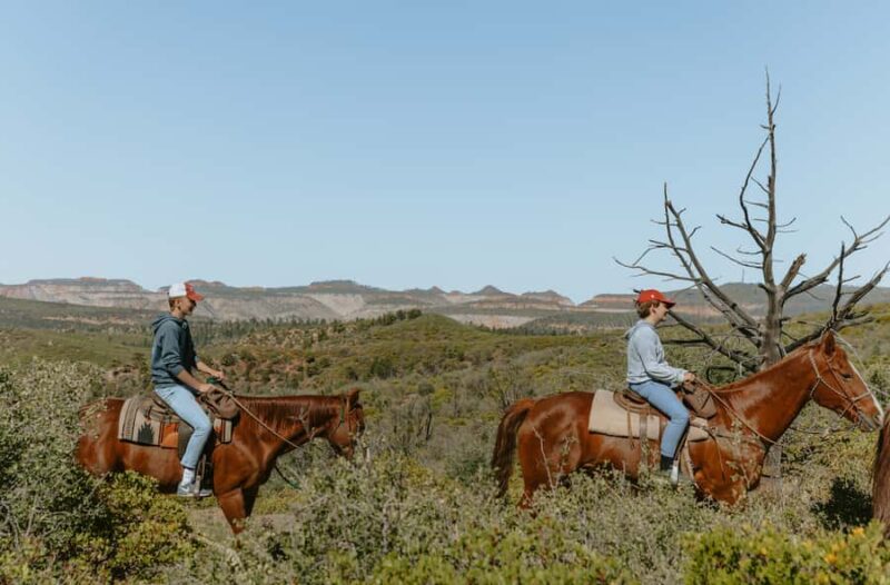 East Zion: Pine Knoll Horseback Tour - Views and Photo Opportunities on the Mountain Top