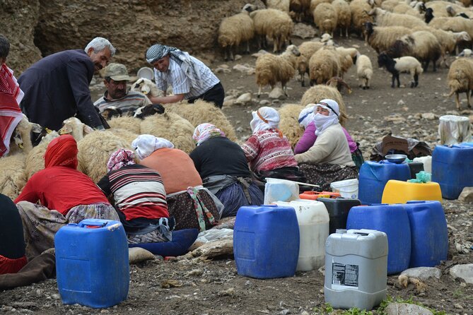 Eastern Turkey 12-Day Sightseeing Tour from Trabzon - Arrival in Trabzon and the Hagia Sophia Museum