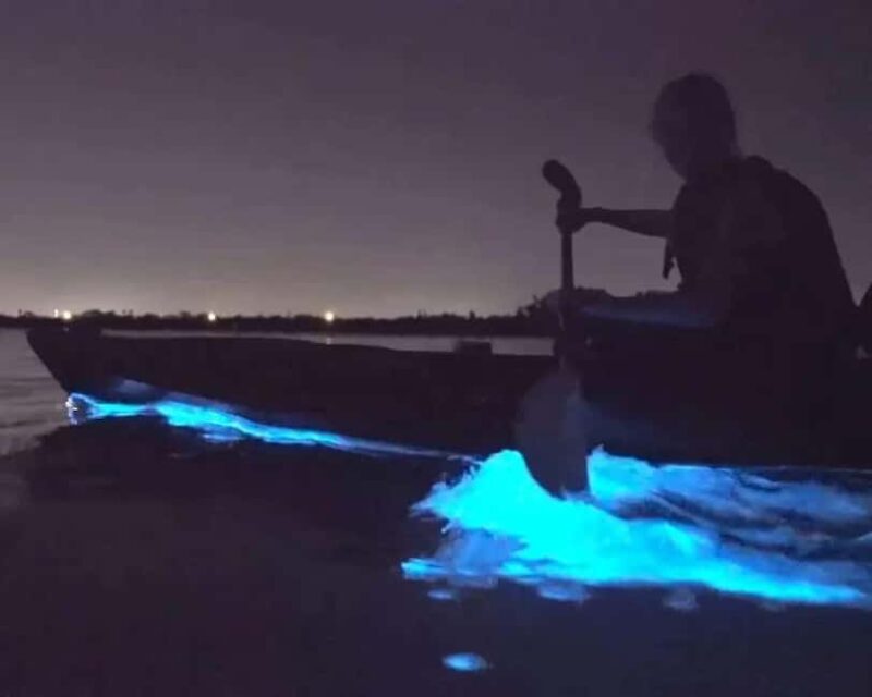 Eastsound: Orcas Island Bioluminescent Kayak Tour - Discover the Magic of Orcas Islands Bioluminescent Waters