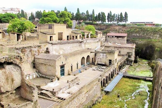 Easy Hercunaleum - Private tour (skip-the-line) - The Advantages of a Private, Licensed Guide at Herculaneum