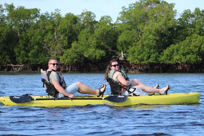 Easy Ride Pedal Kayak Tour Marco Island & Naples (Pedal or Paddle - Flexibility in Tour Times and Group Size