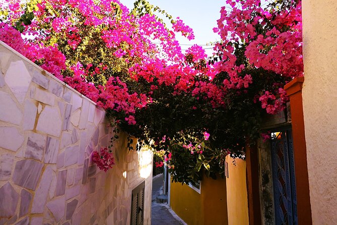 Easy Walks in Santorini Private Half Day Tour - Value for Money and Booking Details