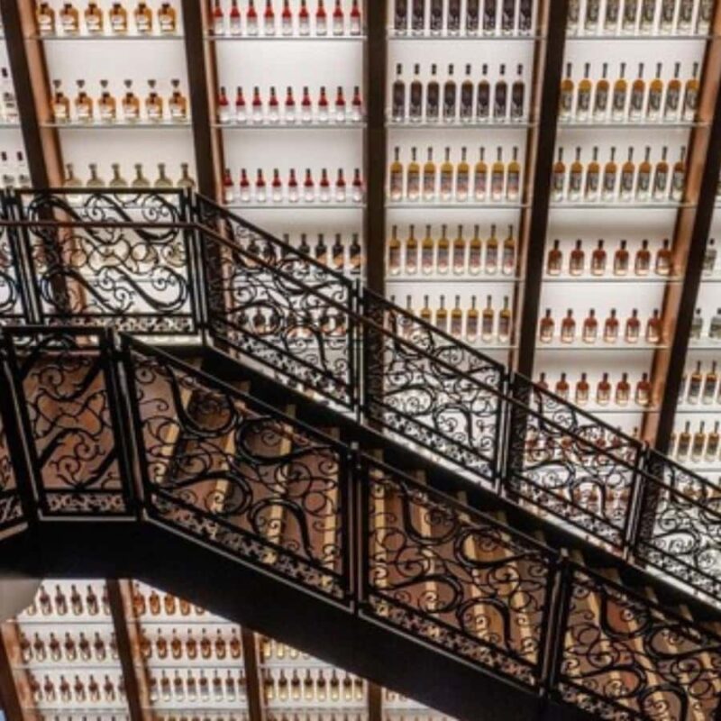 Eat, Drink, and "Vue" New Orleans! - Explore New Orleans from the Top at Vue Orleans Observation Deck