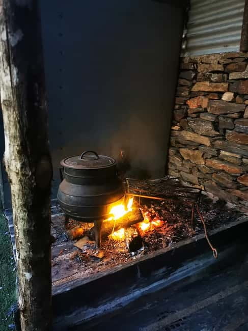 Eat in the vineyards like a Duriense - Guides: Multilingual and Knowledgeable