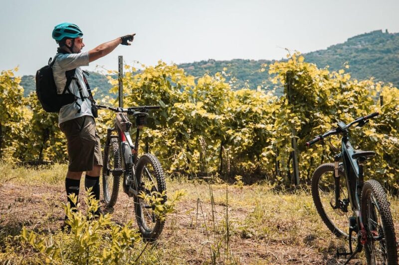 eBike Rental in Montefiascone/Lake Bolsena - The Modern eBikes: Comfortable and Easy to Use
