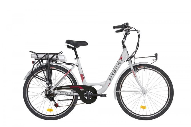 Ebike Rental in Palermo - Key Points