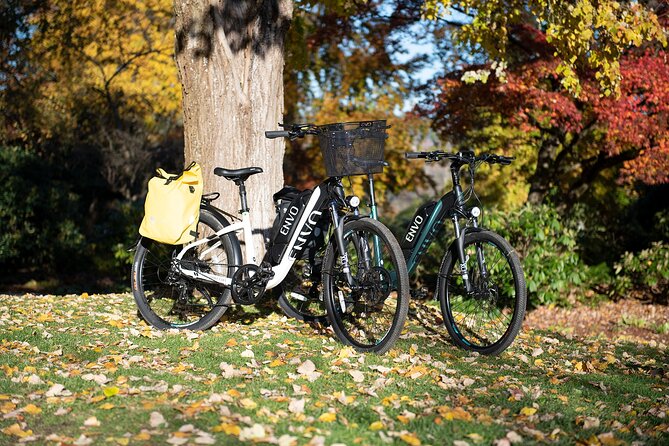 eBike Rentals in Kelowna - Ideal For All Skill Levels and Physical Fitness