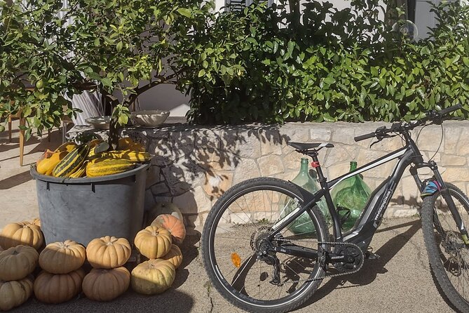 ebike tour: Authentic Itria Valley and local cuisine - Visiting the Charming Districts of Martina Franca and Locorotondo