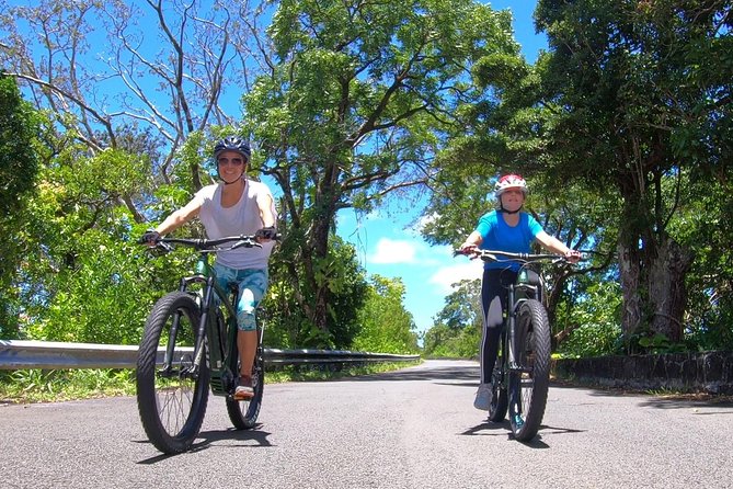eBike Tour Honolulu Rainforest - Starting Point at Archie Baker Mini Park