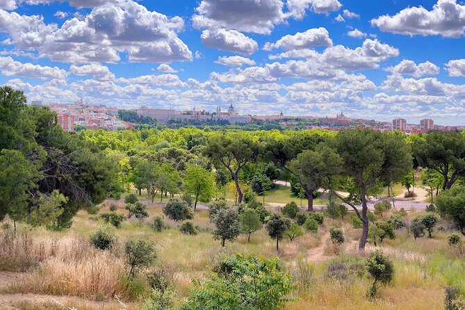 Ebike tour Madrid, green areas and panoramic views. 3 hours - Admiring the Historic Puente de Toledo