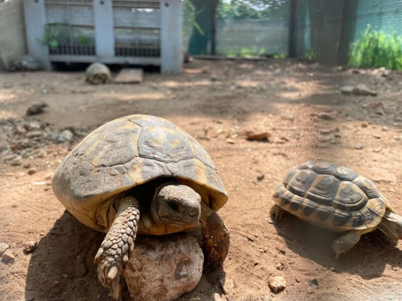 EBike Tour Natural Reserve with snorkeling session - Logistics and Group Experience
