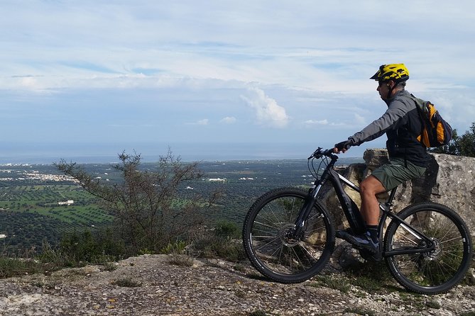 Ebike tours: Alberobello and the wines of Valle d'Itria - Discovering Alberobello’s Trulli on Two Wheels