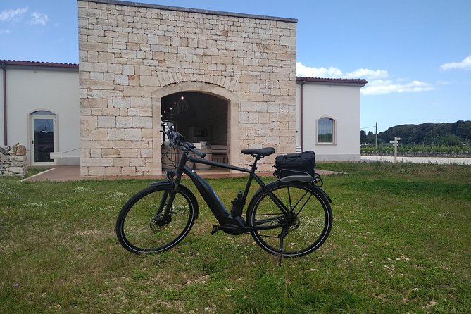 Ebike tours: Alberobello and the wines of Valle d'Itria - Logistic Convenience and Group Size Benefits