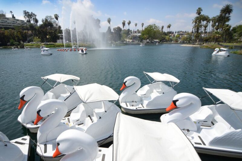 Echo Park Lake: Swan Pedal Boat Rental - Experience the Charm of Echo Park Lake with a Swan Pedal Boat Rental