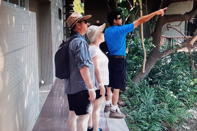 Eco Adventure in the Archaeological Area of Copalita - The Unique Ecosystem: Low Deciduous Forest and Wetlands