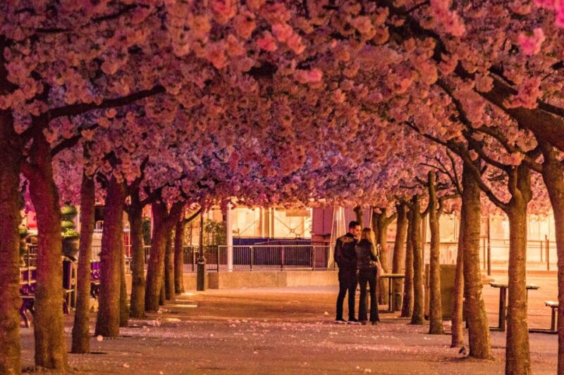 Eco Bike Tour of Stockholm Old Town, Djurgarden, Nature - Frequently Asked Questions