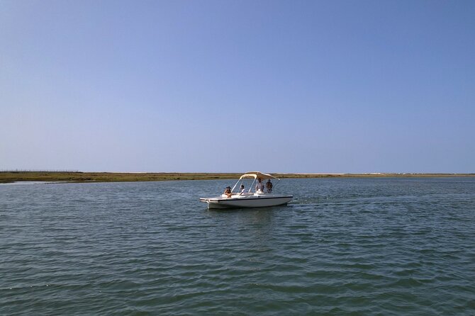 Eco Boat Tour in the Ria Formosa Lagoon from Faro - Starting Point at Faro’s Nautical Club and Pre-Departure Check-In