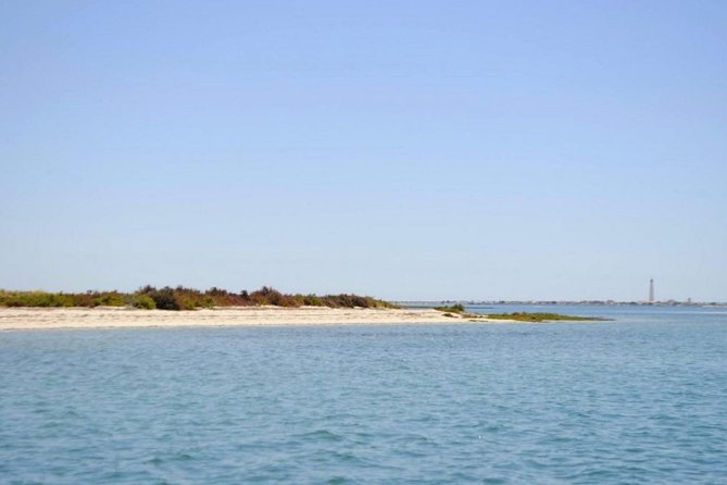 Eco Boat Tour in the Ria Formosa Lagoon from Faro - Practical Information and Booking Tips