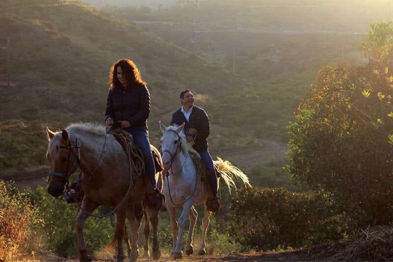 Eco Canyon Horseback Riding Excursion - Reaching Echo Lookout: A Serene Mountain Terrace
