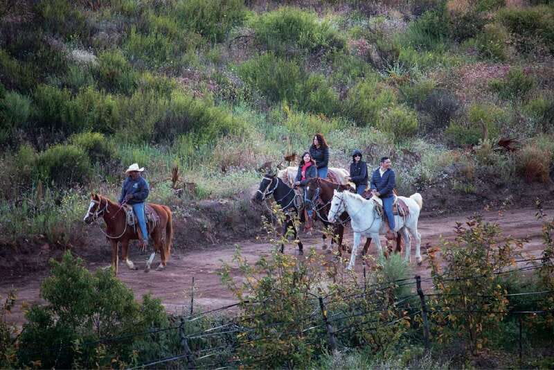 Eco Canyon Horseback Riding Excursion - How to Prepare for Your Horseback Riding Experience
