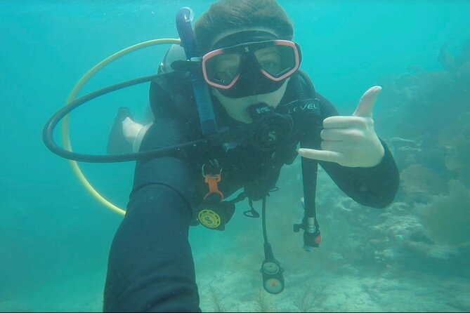 Eco Conscious Reef Diving with Southpoint Divers - The Conservation Focus and Responsible Diving